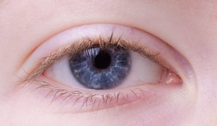 oko - oddział okulistyczny